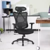 Costway Ergonomic High Back Mesh Office Chair W/ Adjustable Lumbar Support